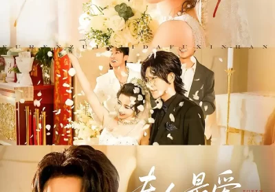 夫人最爱打负心汉（65集）海报