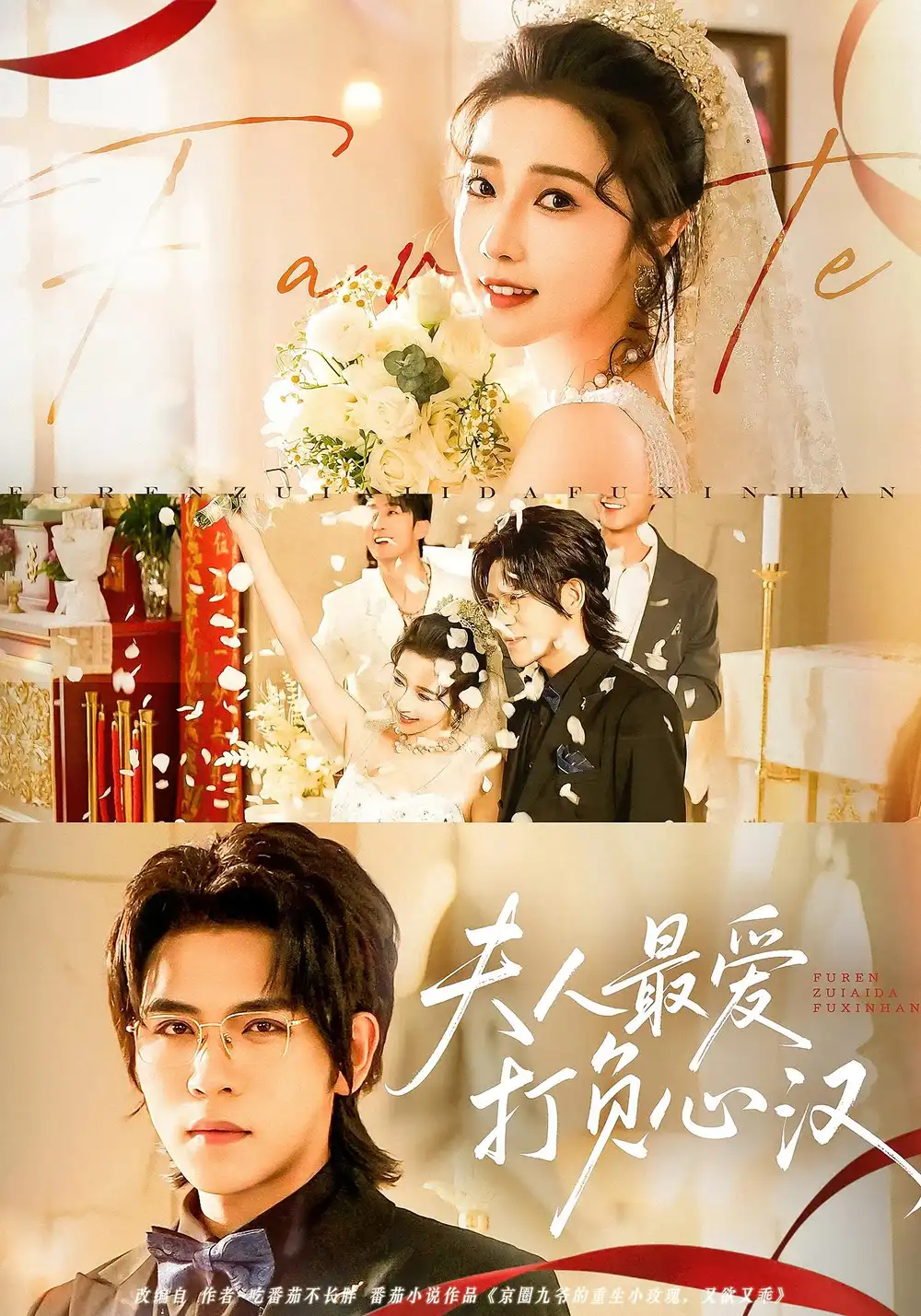 夫人最爱打负心汉(65集)高清海报图片 夫人最爱打负心汉(65集)海报