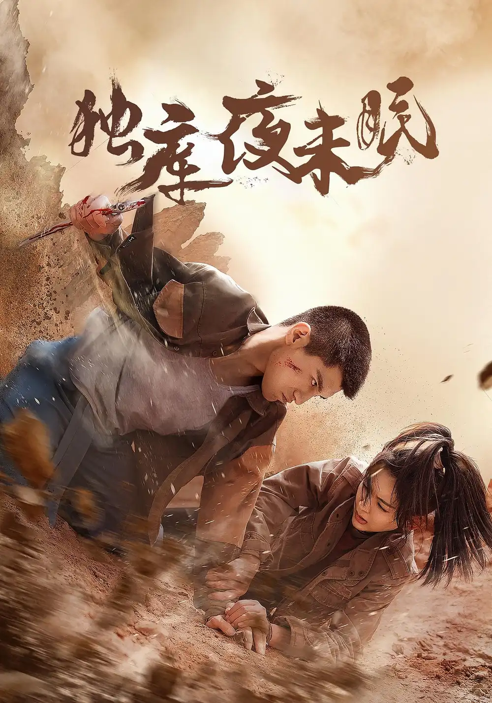 独库夜未眠（20集）海报