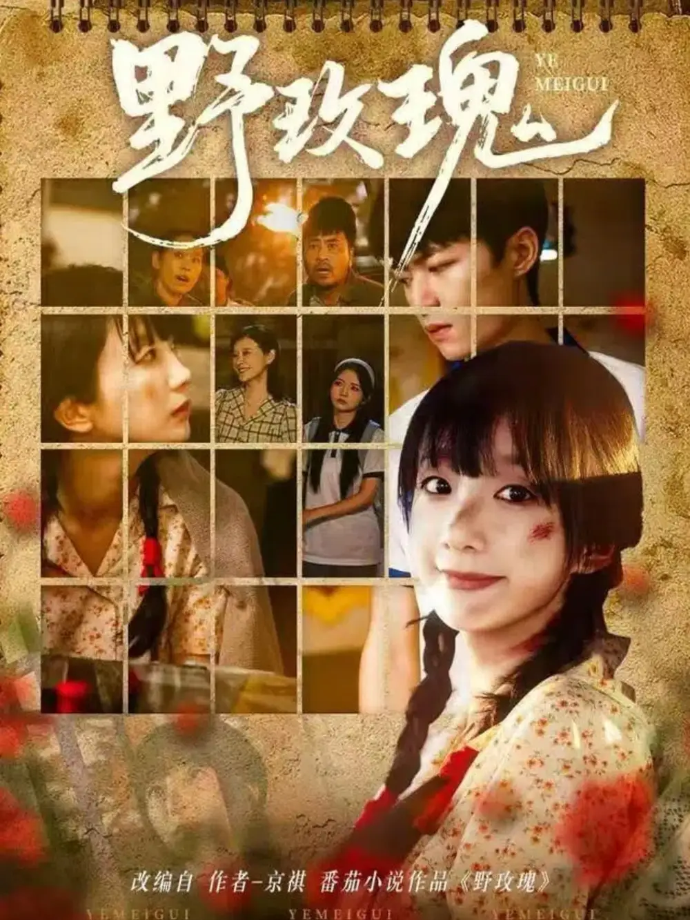 野玫瑰(82集)钊瑞&象韵洁高清海报图片 野玫瑰(82集)钊瑞&象韵洁海报