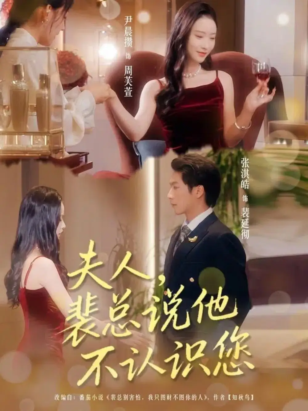 短剧《夫人裴总说他不认识您》正片完成版免费在线观看全集