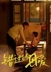 错过的母爱（32集）张欣欣海报