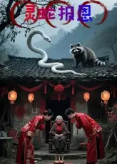 短剧《灵蛇报恩》正片完成版免费在线观看全集