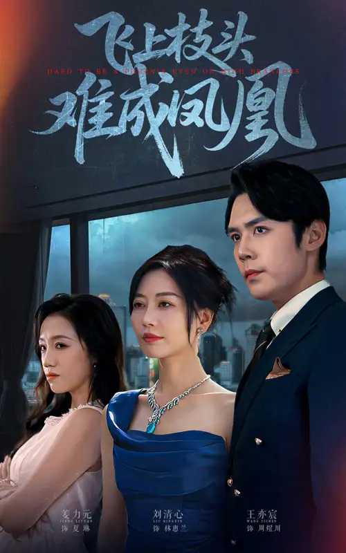 短剧《飞上枝头难成凤凰》正片完成版免费在线观看全集