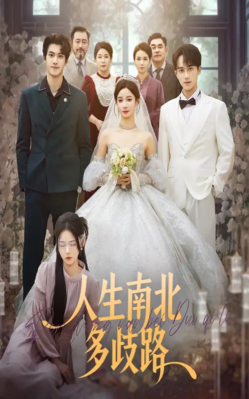 短剧《人生南北多歧路》正片完成版免费在线观看全集