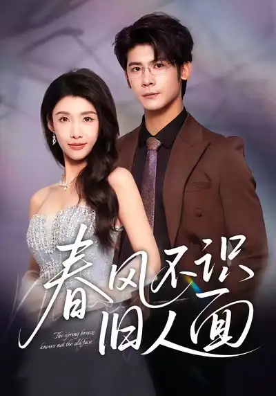 短剧《春风不识旧人面》正片完成版免费在线观看全集