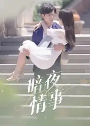 短剧《暗夜情事》正片完成版免费在线观看全集