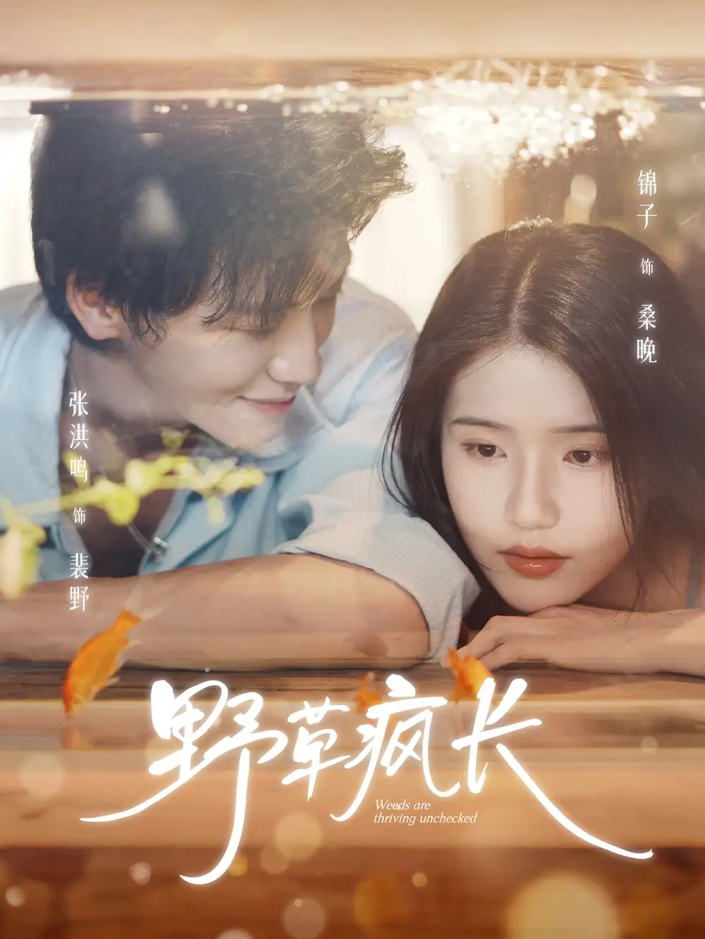 短剧《野草疯长》正片完成版免费在线观看全集