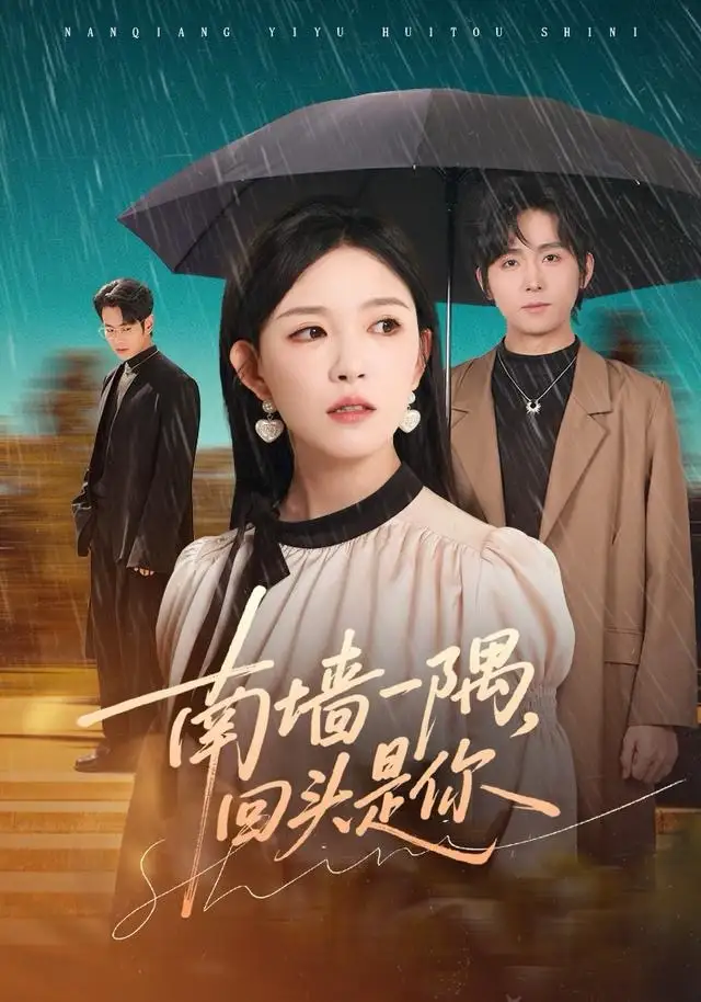 短剧《南墙一隅，回头是你》夸克资源免费在线观看全集