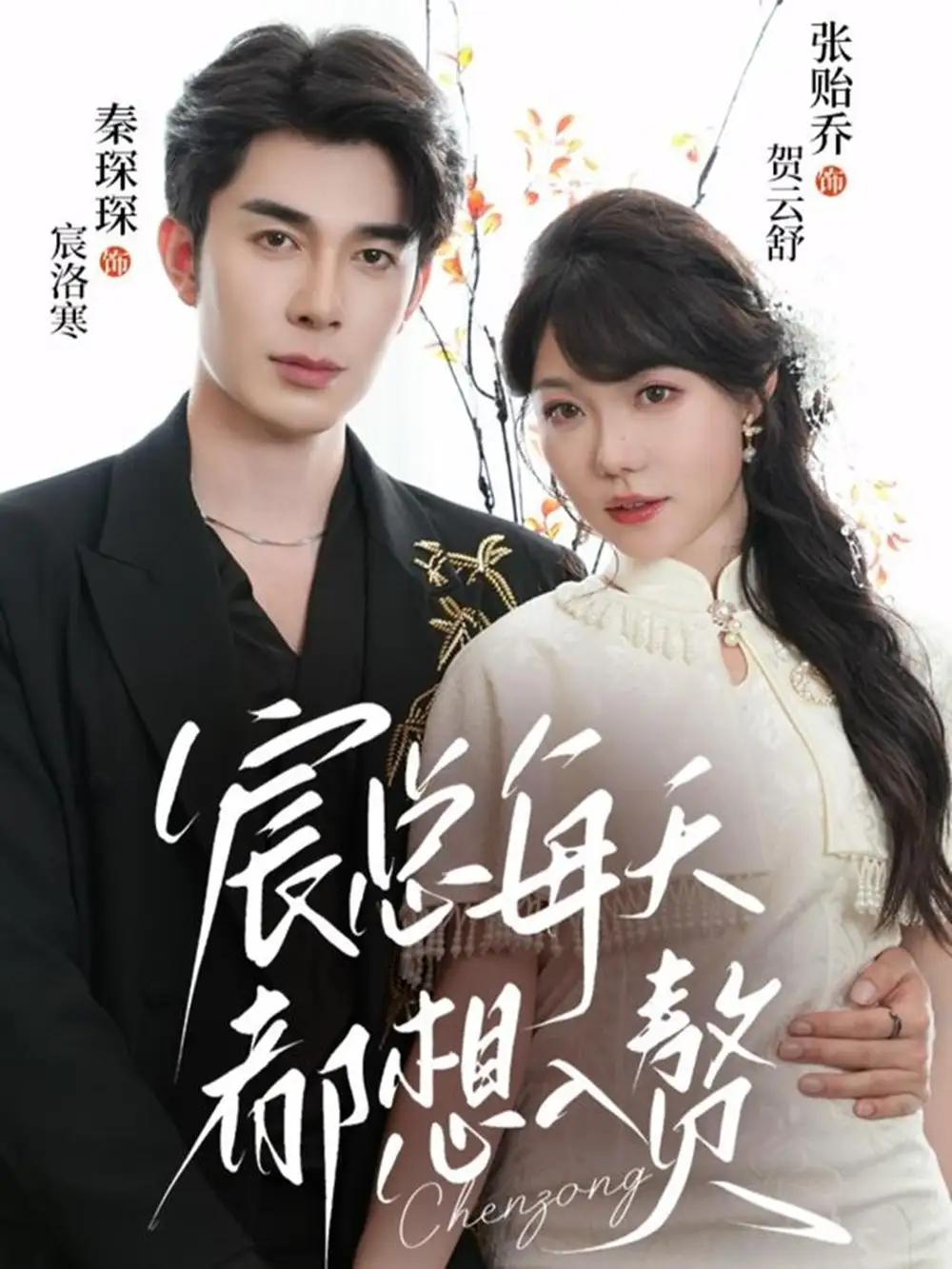 短剧《宸总每天都想入赘》完整版免费在线观看