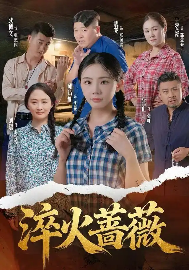 淬火蔷薇(50集)邱诗越&张正&魏龙高清海报图片 淬火蔷薇(50集)邱诗越&张正&魏龙海报