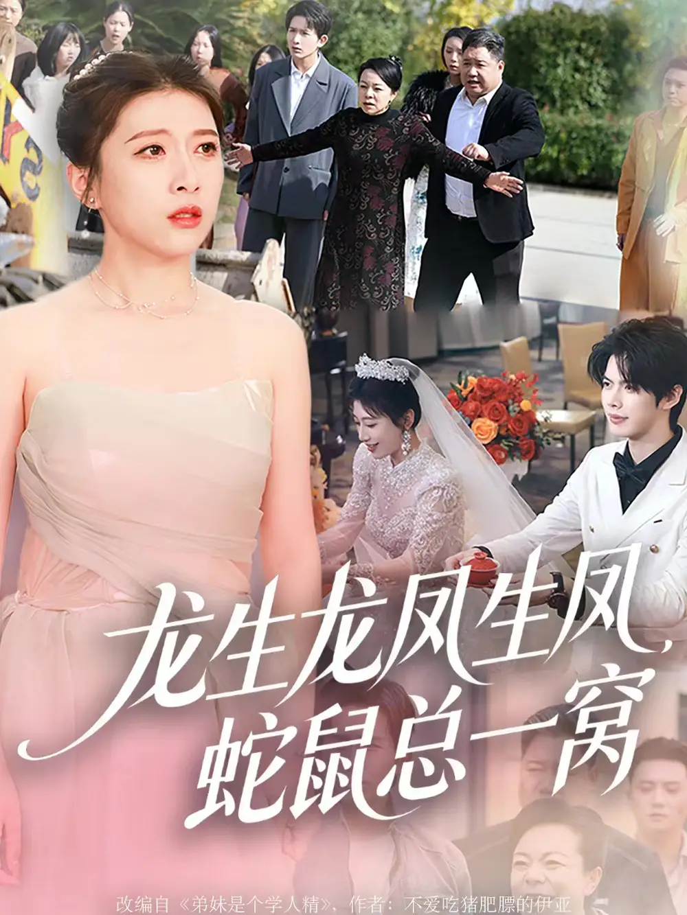 短剧《龙生龙凤生凤，蛇鼠总一窝》正片完成版免费在线观看全集