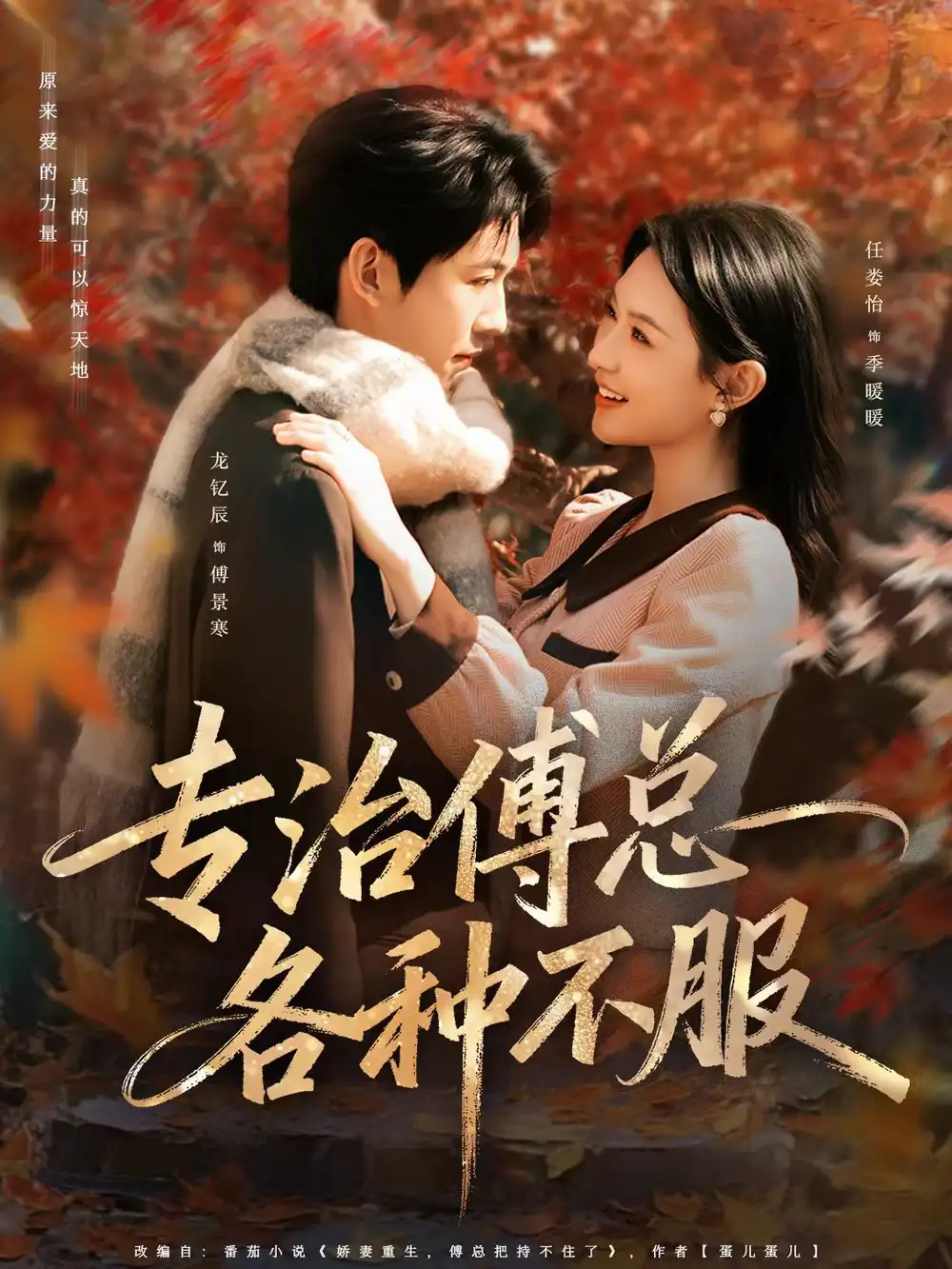 短剧《专治傅总各种不服》夸克资源免费在线观看全集