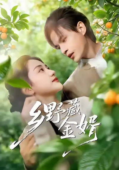 乡野藏金婿（50集）冯琳玲＆吴杰海报