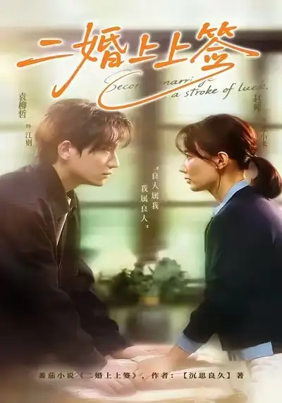 短剧《二婚上上签》免费全集在线观看