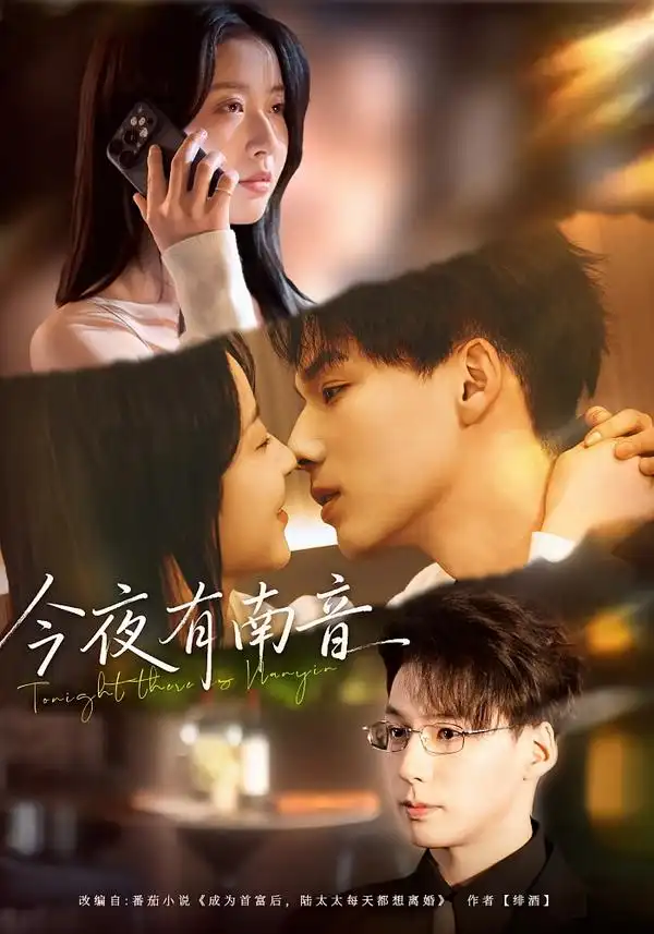 短剧《今夜有南音》夸克资源免费在线观看全集