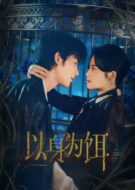 短剧《以身为饵》全集在线观看免费