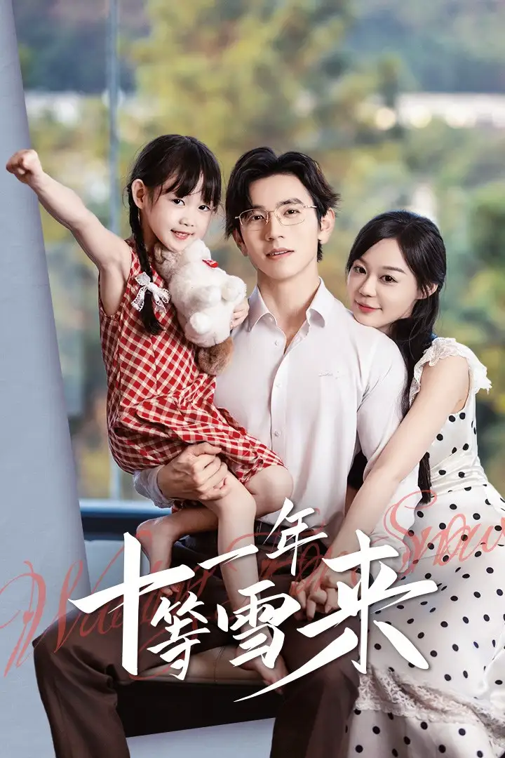 短剧《十一年等雪来》全集在线观看免费