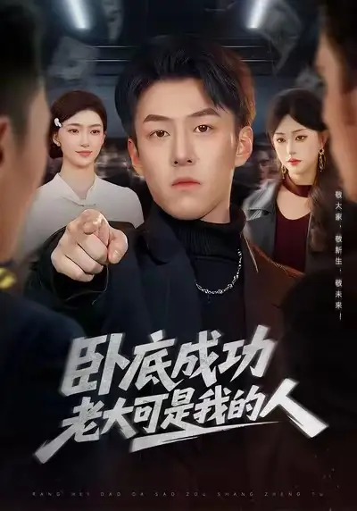 短剧《卧底成功老大可是我的人》免费全集在线观看