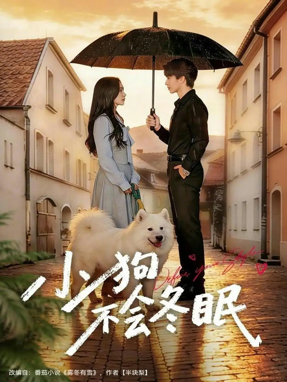 短剧《小狗不会冬眠》高清完整版免费观看