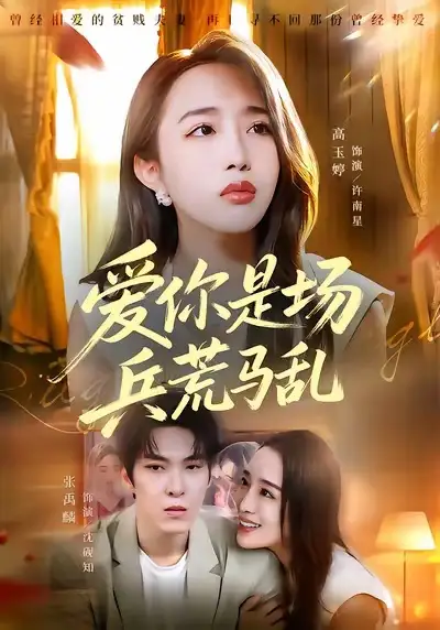 短剧《爱你是场兵荒马乱》在线免费观看全集