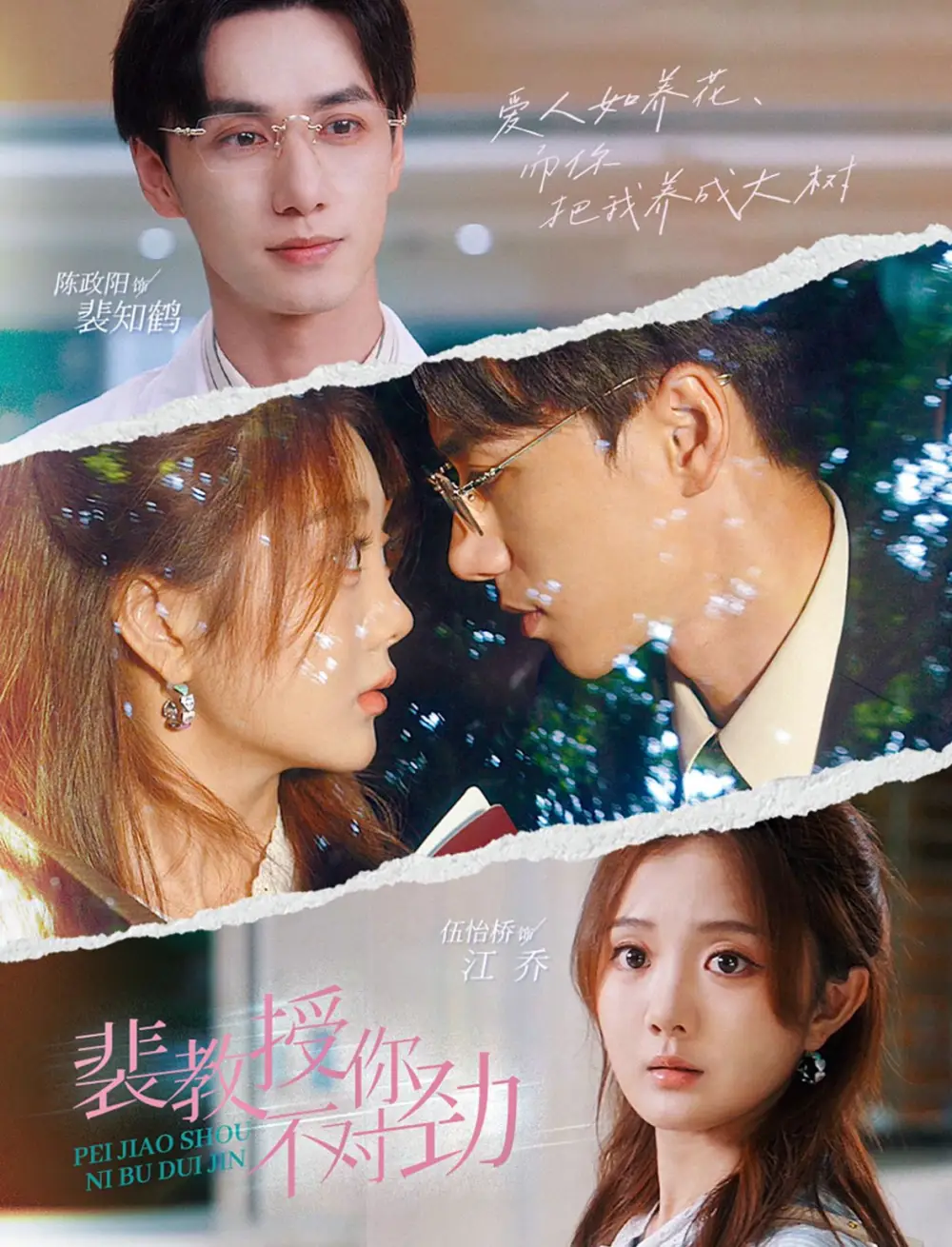 短剧《裴教授你不对劲》免费观看高清版