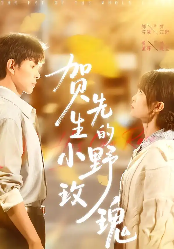 短剧《贺先生的小野玫瑰》夸克资源免费在线观看全集