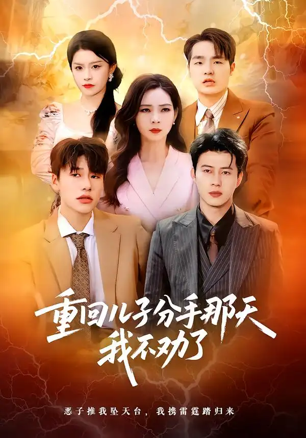 重回儿子分手那天，我不劝了（28集）海报