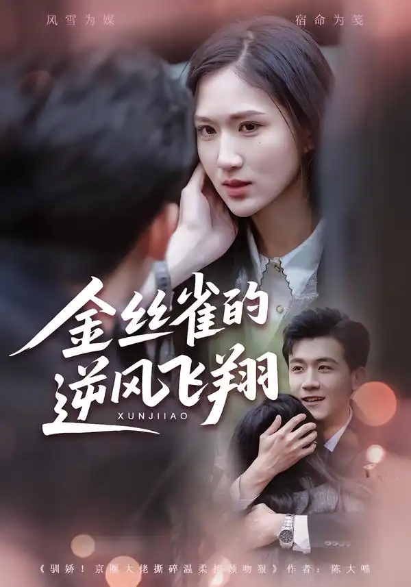 短剧《金丝雀的逆风飞翔》夸克资源免费在线观看全集