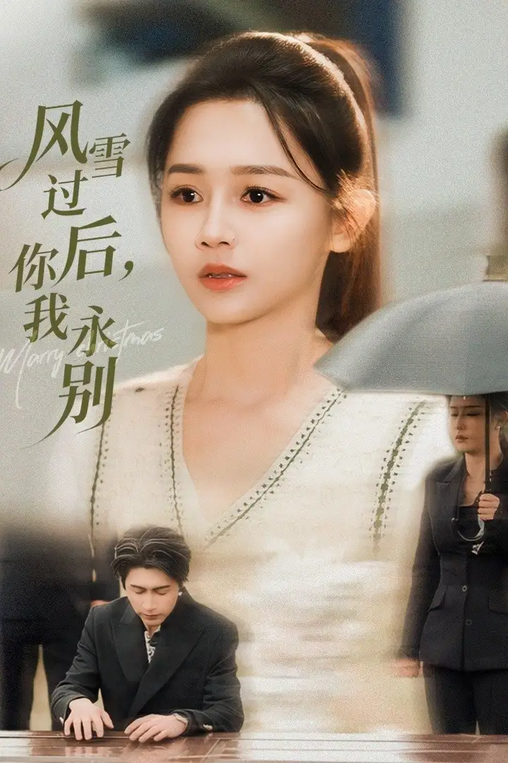 短剧《风雪过后你我永别》免费播放完整版