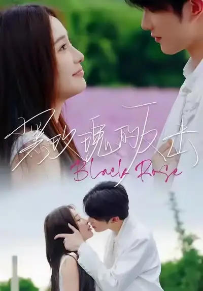 短剧《黑玫瑰的反击》完整版免费在线观看
