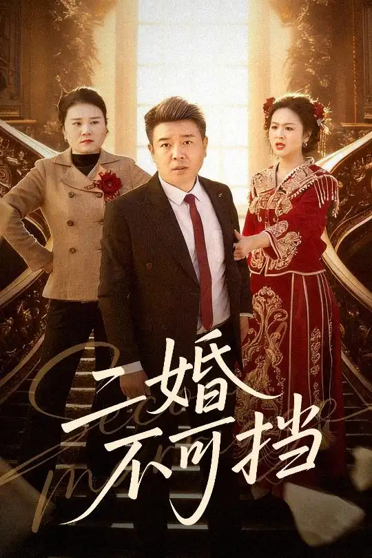 短剧《二婚不可挡》完整版免费在线观看