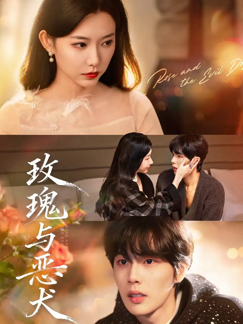 短剧《玫瑰与恶犬》完整版免费在线观看