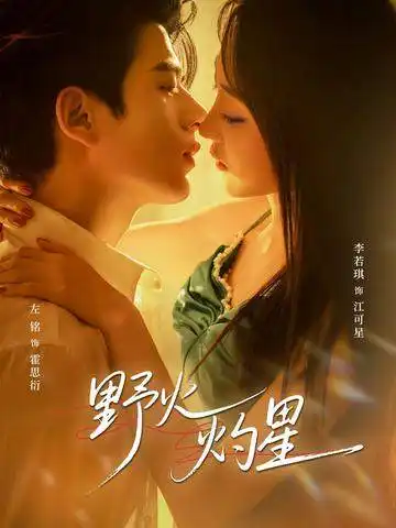 短剧《野火灼星》完整版免费在线观看