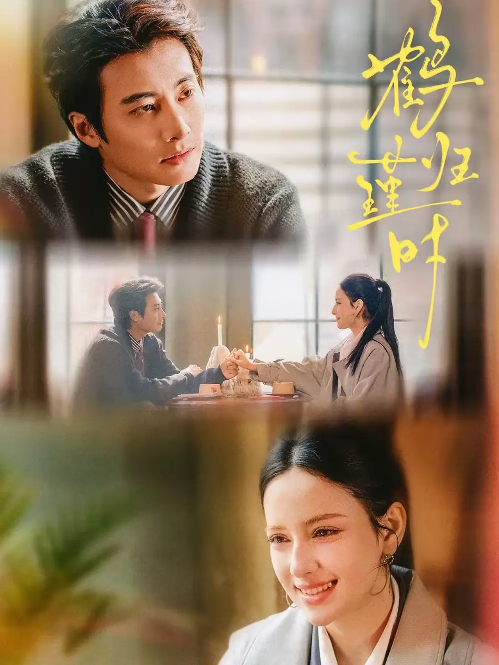 短剧《鹤归瑾时》完整版免费在线观看