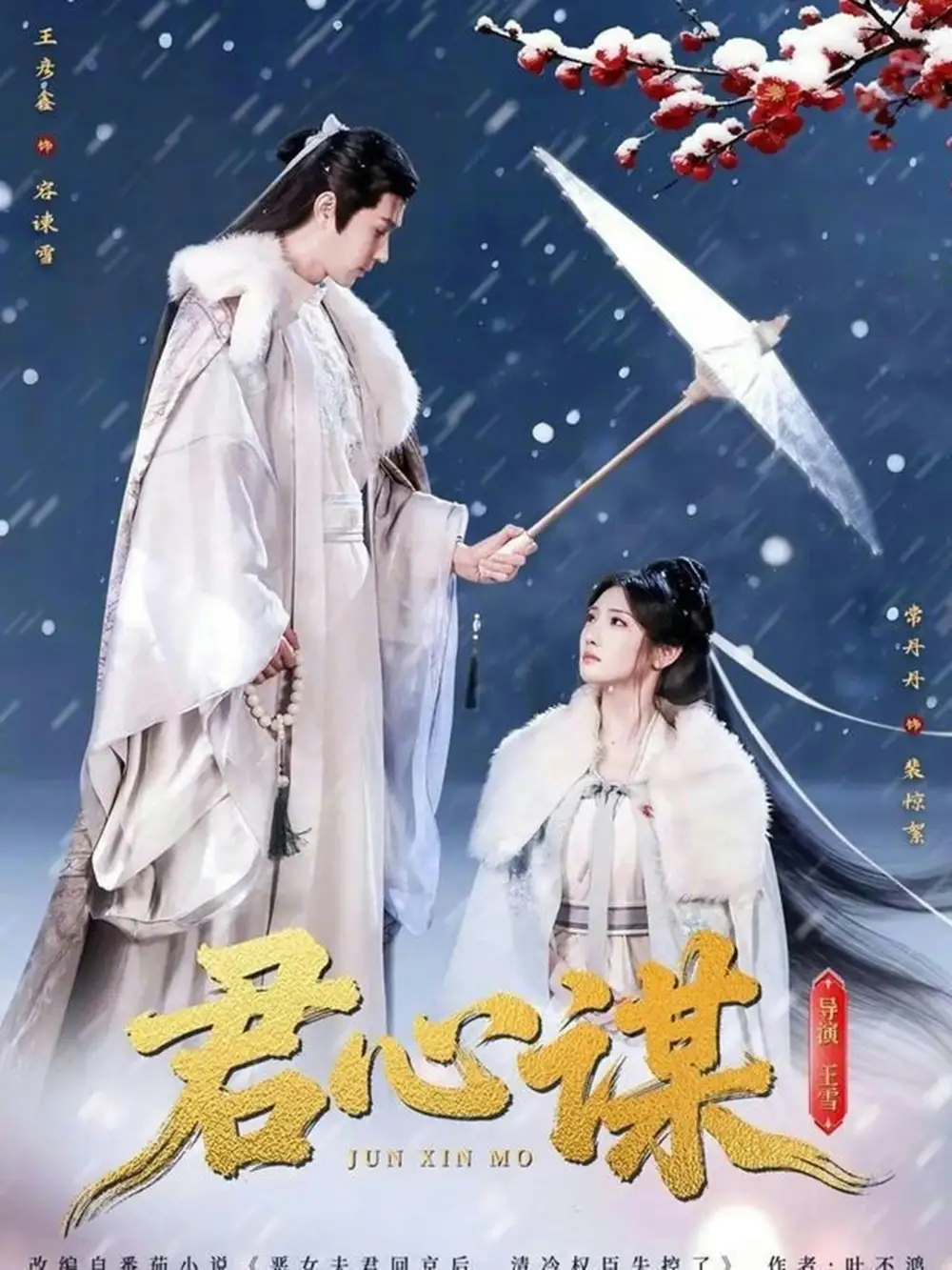 君心谋(80集)王彦鑫&常丹丹高清海报图片 君心谋(80集)王彦鑫&常丹丹海报