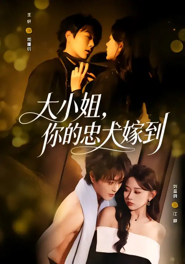 短剧《大小姐，你的忠犬嫁到》免费观看高清版