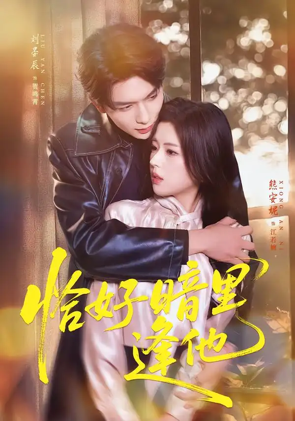 短剧《恰好暗里逢他》免费播放完整版