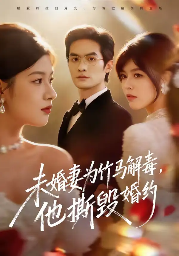 未婚妻为竹马解毒,他撕毁婚约(41集)陈寻秋&程新茸高清海报图片 未婚妻为竹马解毒,他撕毁婚约(41集)陈寻秋&程新茸海报