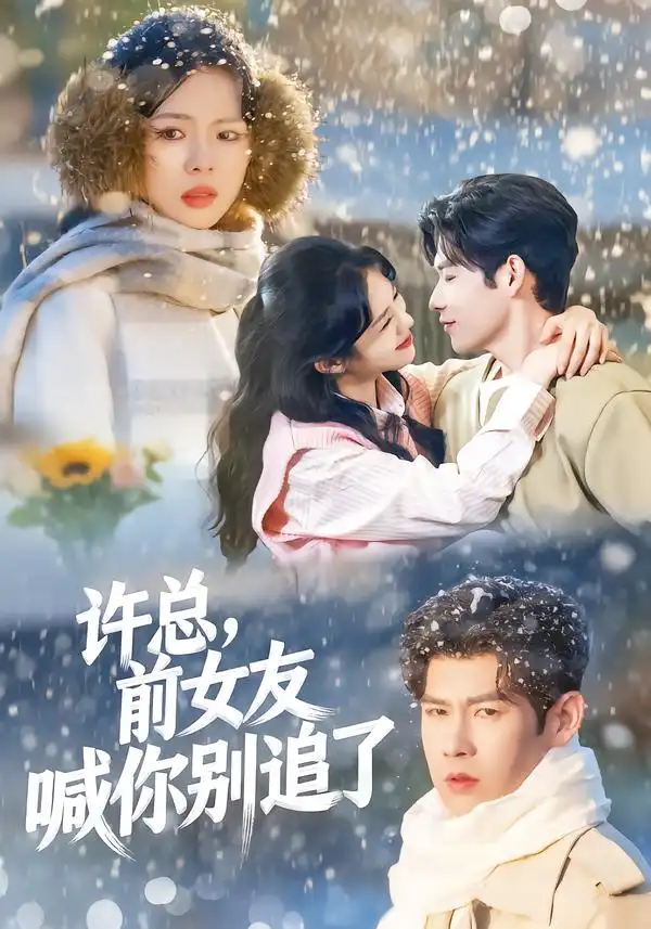 短剧《许总，前女友喊你别追了》免费播放完整版