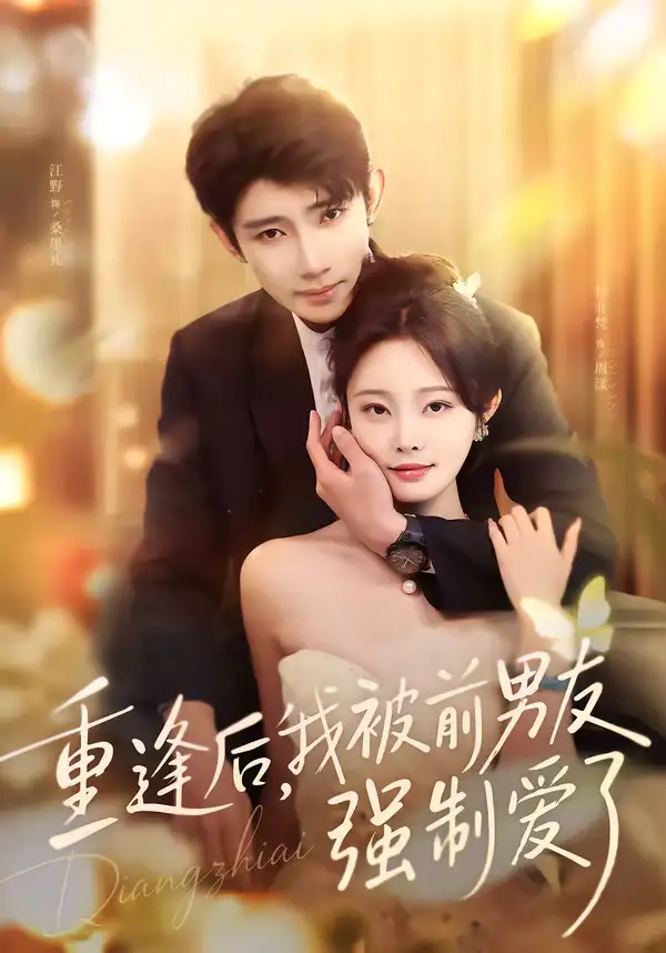 重逢后,我被前男友强制爱了(80集)江野&林非梵高清海报图片 重逢后,我被前男友强制爱了(80集)江野&林非梵海报