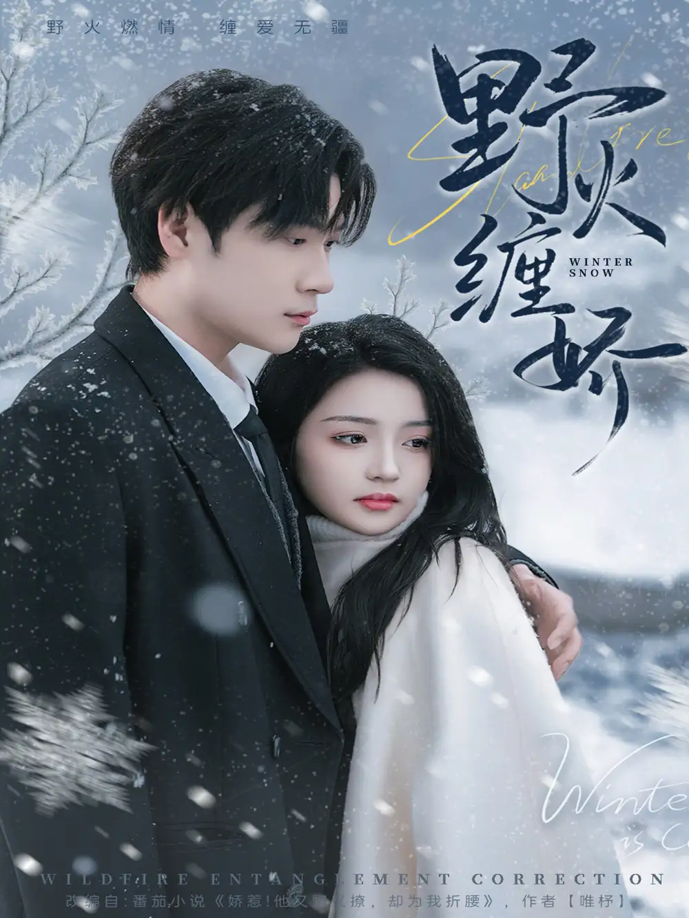 短剧《野火缠娇》免费播放完整版