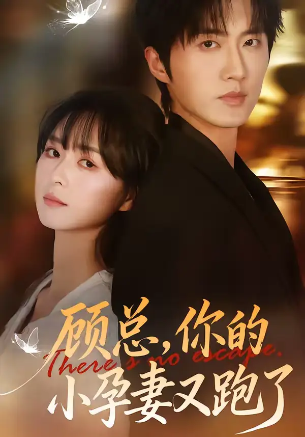 顾总，你的小孕妻又跑了（47集）马薇＆顾天逸海报